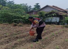 Upaya Sinergitas Polri Bersama Warga Binaan Desa Gempol Melaksanakan Penanaman Pohon Jagung