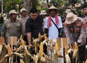 Kontribusi Nyata Satreskrim Polres Karawang Dorong Produktifitas Lahan Perkuat Ketahanan Pangan