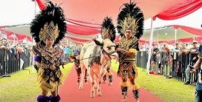 Kontes Sapi APPSI Piala Presiden 2026, Semangat Peternak Rakyat Kian Bergairah
