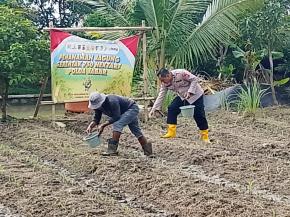 Polsek Rengasdengklok Monitoring dan Pemupukan Tanaman Jagung di Lahan Ketahanan Pangan