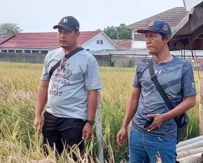 Di Balik Harapan Petani Kutaampel, Ada Asa untuk Panen Baik dan Keluarga Bahagia