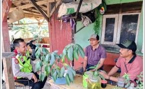 Personel Polsek Pangkalan Sampaikan Sosialisasi Bahaya TPPO Kepada Warga Kampung Jati 3
