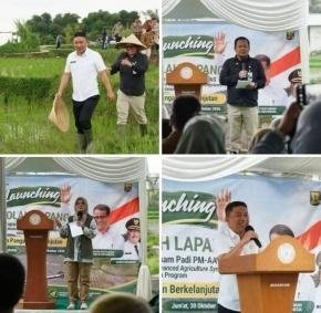 Dorong Petani Lebih Sejahtera, Wabup Sukabumi Luncurkan Sekolah Lapang Padi Modern
