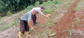 Personil Polsek Tegalwaru Monitoring Ketahanan Pangan Jenis Jagung di Wilayah Desa Cintawargi