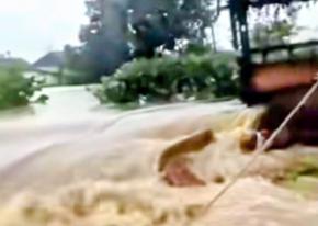 Tanggul Citarum Kembali Jebol, Warga Muaragembong Hanya Bisa Berharap pada Penanganan Nyata Pemerintah