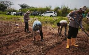 Dukung Swasembada Pangan! Satreskrim Polres Karawang Kontrol Lahan Jagung untuk Pastikan Tumbuh dengan Baik