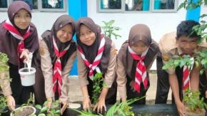 Dari Pramuka untuk Ketahanan Pangan, Pelajar SMPN 4 Sindang Indramayu Tanam Cabai di Sekolah