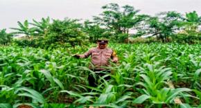 Upaya Dukung Ketahanan Pangan, Polsek Rengasdengklok Adakan Pengecekan Tanaman Jagung