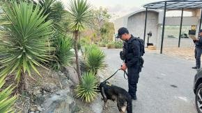 Anjing Pelacak K-9 Sisir Tiga Zona MotoGP Mandalika, Polisi Pastikan Steril