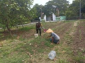 Anggota Polsek Batujaya melaksanakan Monitoring Pasca Penanaman Jagung di Desa Kutaampel