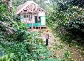 Di Wanayasa Purwakarta, Rumah Warga Dihantam Pohon Tumbang, Respons Cepat Polisi Tuai Apresiasi 