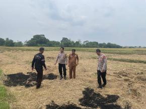 Kapolsek Kotabaru Cek Kesiapan Lahan yang Akan Ditanami Jagung Hibrida