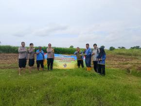 Kapolsek Tirtajaya bersama Anggotanya melaksanakan Penanaman Jagung Serentak