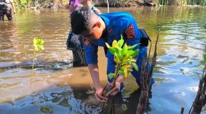 Ditpolairud Polda NTB Hijaukan Pesisir, Tanam 200 Pohon Mangrove di Pantai Kokoq Pedeq