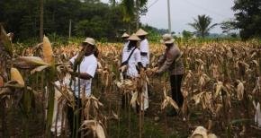 Sinergi Satreskrim Polres Karawang dan masyarakat, Dukung Program Pemerintah Ketahanan Pangan