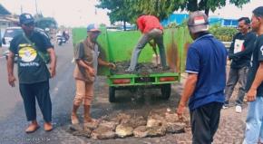 Perbaiki Jalan Berlubang, Relawan Turun Tangan Selamatkan Nyawa di Jalur Pantura Jatisari