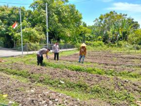 Upaya Anggota Polisi Polsek Batujaya melaksanakan Monitoring Pasca Penanaman Jagung