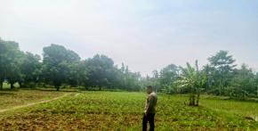 Kapolsek dan Personil Polsek Tempuran Kontrol Lahan di desa Purwajaya Kec. Tempuran Guna dukung penuh Program Ketahanan Pangan.