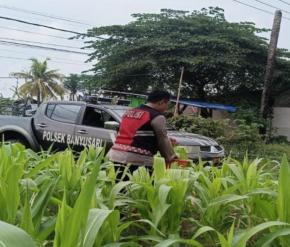 Sinergitas Polri Bersama Warga Desa Gempol Melaksanakan Penanaman Pohon Jagung