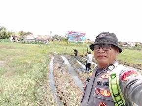 Polsek Pedes Laksanakan Pengamanan Tanaman Jagung Manis Dukung Ketahanan Pangan Nasional