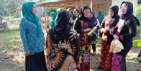 Kunjungan PKK Kabupaten Karawang Bersama Dinsos P3A, Dalam Rangka Program P2WKSS