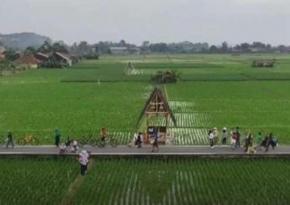 Dari Sawah hingga Curug, Subang Menata Harapan Lewat Tujuh Desa Wisata