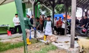 Belajar Menyembelih Sesuai Syariat, 120 Peserta Ikuti Pelatihan Juru Sembelih Halal di Karawang