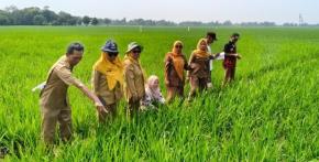 Memasuki Musim Hujan di Akhir Tahun, Pemerintah Desa Telukagung Kecamatan Indramayu Bersiap Menyambut Pelaksanaan Musim Tanam Rendeng Pada 25 Desember 2025