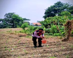 Upaya Sinergitas Polri Bersama Warga Desa Gempol Kecamatan Banyusari Melaksanakan Penanaman Pohon Jagung