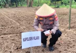 Kapolsek Klari Hadiri dan Lakukan Penanaman Perdana Jagung Hybrda Ketahanan Pangan Kompi Produksi Kodim 0604 / Karawang