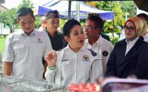 Komisi IV DPR RI Apresiasi Inovasi BRMP, Dorong Swasembada Hortikultura