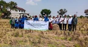 Jerami Tak Lagi Dibakar, Petani Jatisari Didorong Manfaatkan Limbah Panen untuk Pupuk hingga Media Jamur