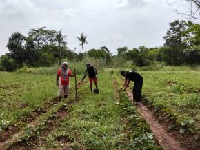 Edi Jumala: Dari Lahan Kosong ke Harapan Pangan Menjelang Ramadan