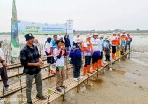 Selamatkan Pesisir yang Terancam Hilang, PLN Tanam 15 Ribu Mangrove di Karawang di Tengah Ancaman Abrasi yang Terus Menggerus Pesisir Utara