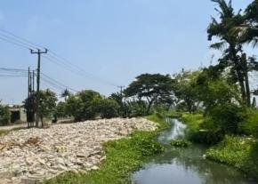 Usai Bangli Ditertibkan, DLH Bekasi Siapkan Penghijauan di SS Balong Tua