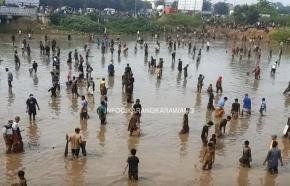 Dari Memilah Sampah hingga Memimpin Desa, Surya Rayakan Kemenangan Bersama Warga dengan Tebar 1 Ton Ikan