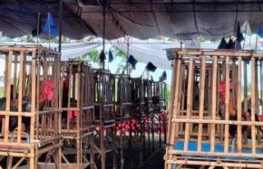 Kabupaten Sumedang Dipercaya Jadi Rumah Kontes Ayam Pelung Nasional MDC 2025