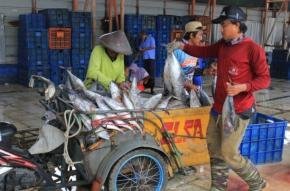 Indramayu Kukuhkan Diri sebagai Lumbung Perikanan Jawa Barat, Sumbang 33,99 Persen Produksi Provinsi 