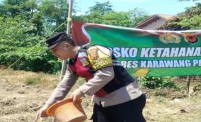 Upaya Sinergitas Polri Bersama Warga Desa Gempol Kecamatan Banyusari Melaksanakan Penanaman Pohon Jagung