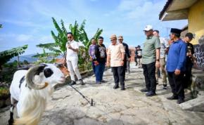 Gagah, Domba Kuningan Masuk Final Seni Ketangkasan Domba Garut Piala Presiden, kalahkan Ribuan Peserta di Babak Kualifikasi