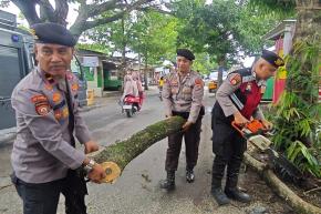 PATROLI SIGAP UNIT PAMMAT SUBDIT GASUM DIT SAMAPTA POLDA NTB EVAKUASI POHON TUMBANG DI SEKARBELA MATARAM