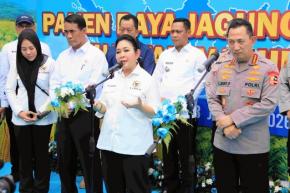 Di Tengah Kawasan Industri, Jagung Bekasi Tetap Bersemi